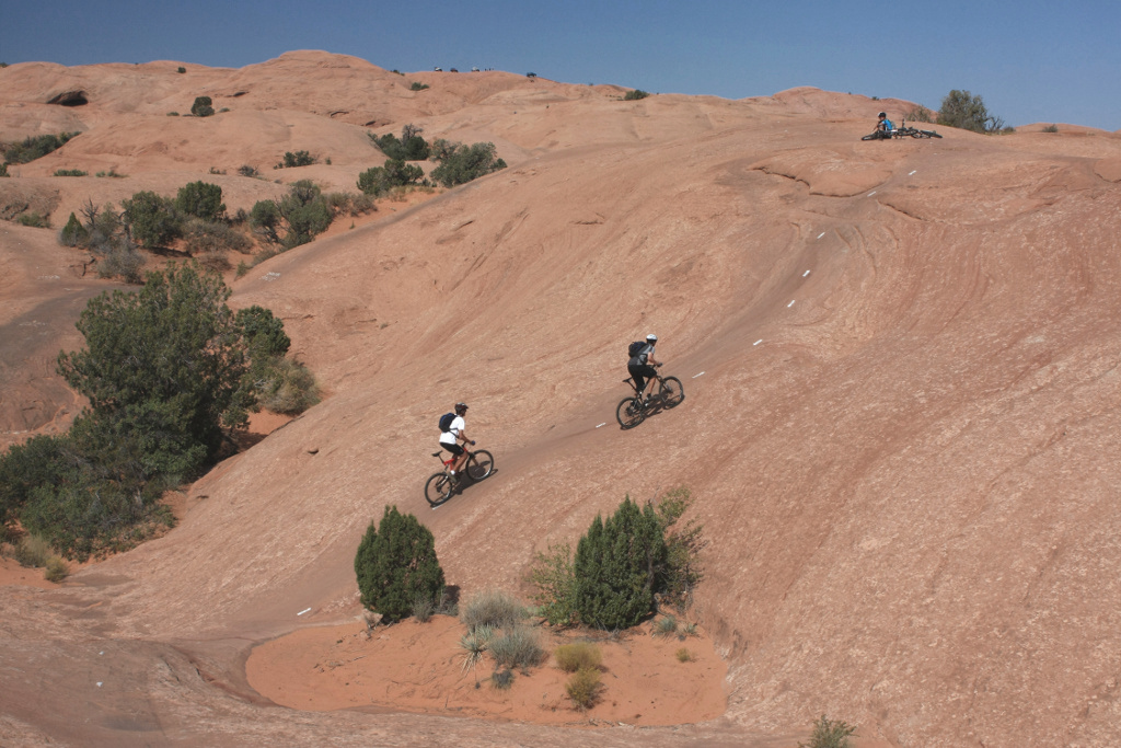 Hardtail or full suspension: how to choose your first mountain bike